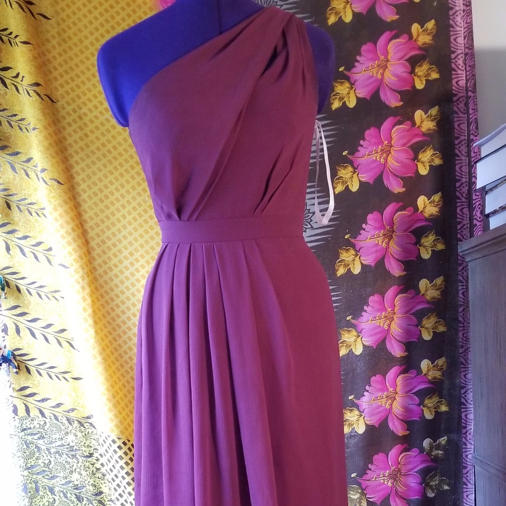 Long One-Shoulder Crinkle Chiffon Dress in Wine